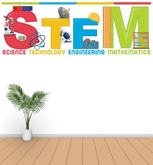 STEM Poster P10