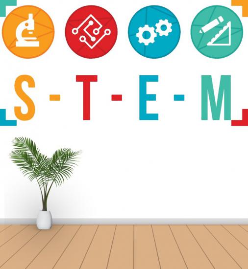 STEM Poster P4