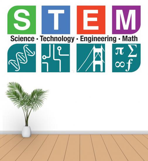 STEM Poster P5