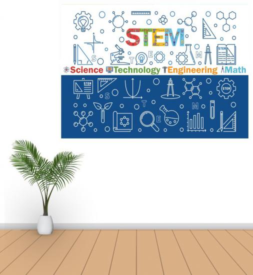 STEM Poster P13