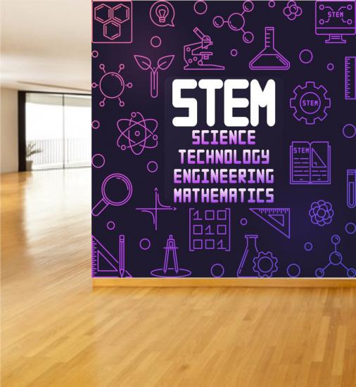 STEM Poster P14