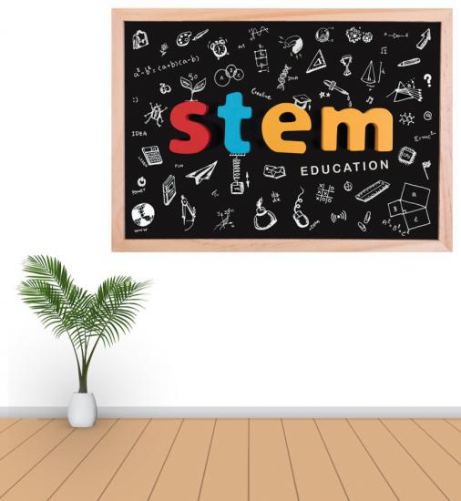 STEM Poster P16