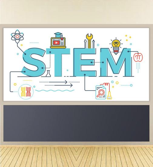 STEM Poster P1