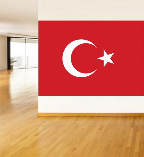 Türk Bayrağı P1